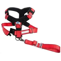 Kleinmetall Hondenveiligheidsgordel Allsafe Comfort Gr. L (Chien)