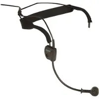 Shure WH20XLR Headset Microphone