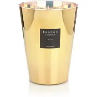 Baobab Les Exclusives Aurum bougie parfumée 3000 g