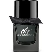 Burberry Mr. Eau de Parfum 50 ml