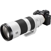 Sony Alpha 9 II + FE 200-600mm F/5.6-6.3 G OSS