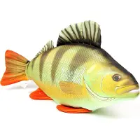 Gaby The Perch Medium Pillow Vert