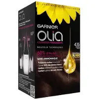 Garnier Coloration Permanente Sans Ammoniaque 4.15 Marron Glacé