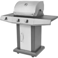 vidaXL Barbecue à gaz avec brûleur Avec roue Argent Acier avec tuyau métallique