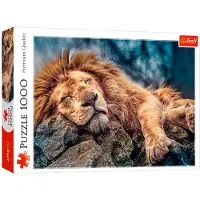Trefl Lion endormi