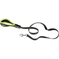 Ferplast Laisse Pour Chien Ergofluo 20 Mm 120 Cm