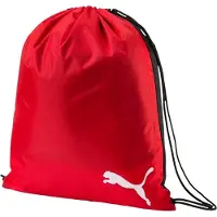 Puma Sacs a dos Puma Pro Training II