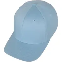 Flexfit Casquette bleu clair