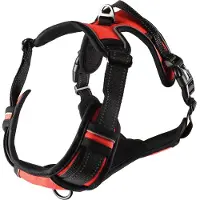 Flamingo Harnais Balou Rouge pour chien
