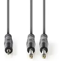 Nedis Câble Audio Stéréo Coth23200gy30 M-m Nickelé 2x 6.35mm 3.5mm 3 M