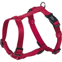 Nobby 3x Harnais Classic (M, S, Chien, Général)