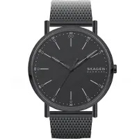 Skagen SKW6579