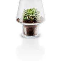 Eva Solo Vase à Succulents Eva Solo Transparent 15 cm