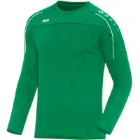 Jako Sweat de sport 'Classico' vert / blanc