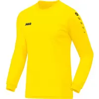 Jako Trikot Team LA