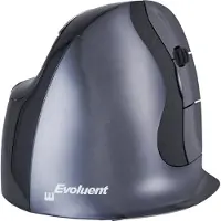 Evoluent D Souris Sans fil Large