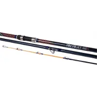 X2 WaveWalker Surf 4.50m 100-225g 3sect.