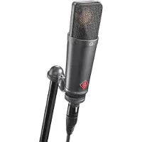 Neumann TLM 193 micro à condensateur large membrane