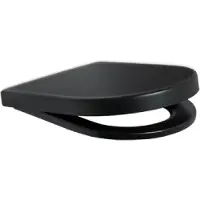 Plieger Nola closetzitting met deksel softclose en quickrelease mat zwart (0271065)