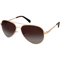 Polaroid Lunettes de soleil - - PLD 6012/N/NEW J5G - Métal - Dégradé marron - Chic