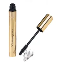 CHRISTIAN FAYE Christian SuperB Mascara Black