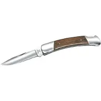Buck Squire Lockback