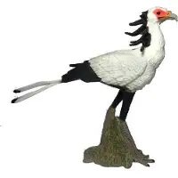 Collecta Secrétaire aux oiseaux L - Figurine d'animal