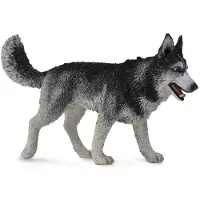 Collecta Husky sibérien