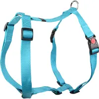 Flamingo Harnais Ziggi turquoise, taille : S / largeur : 15 mm