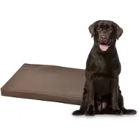 Flamingo Dreambay Dog Cushion Marron 116 x 69 x 4.5 cm