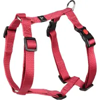 Flamingo Harnais Ziggi rouge cerise, taille : S / largeur : 15 mm