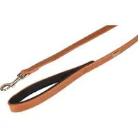 Flamingo Laisse Pour Chien Lyabo
