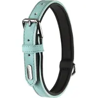 Flamingo Collier De Chien Delu