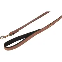 Flamingo Laisse Pour Chien Lyabo