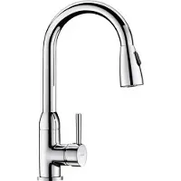 Delabie Mitigeur monocommandé avec bec pivotant H.215 L.200 + douchette extractible