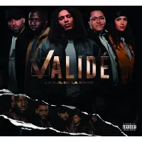 POLYDOR Valide Ost Lp