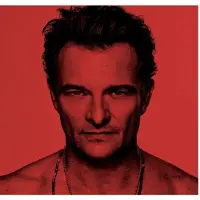 Pias bv David Hallyday - J'ai Quelque Chose A Vous Dire Lp