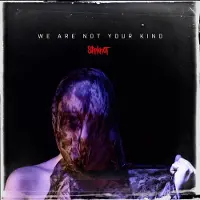 Cd Slipknot - We Are Not Your Kind