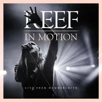 Import In Motion Inclus Blu-ray