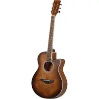 Fazley W55-COL-BR-EQ ColourTune guitare électro-acoustique folk marron