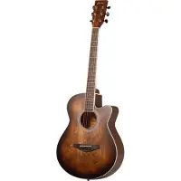 Fazley W55-COL-BR ColourTune guitare folk marron