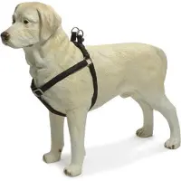 Beeztees BZ VAISSELLE MACL NOIR 15X35-6 (Chien, Sport canin)