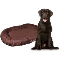 Flamingo Bay Dog Bed Marron 115 x 80 x 15 cm