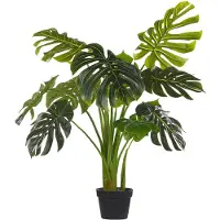 Beliani Monstera Plant (113 cm)