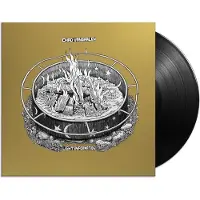 Konkurrent Chad Vangaalen - Light Information [Vinyl] Digital Download