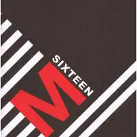 Sonic M-Sixteen