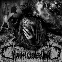 Sonic Human Obliteration - Definition Of Insanity [Vinyl]