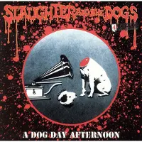 Import Dog day afternoon live in the usa