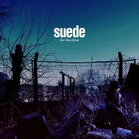 Warner Music Suede - The Blue Hour Cd