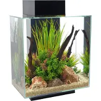 Fluval Edge Led 2.0 46l Aquarium Kit Clair